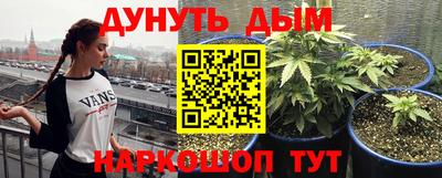 прущие грибы Ачхой-Мартан