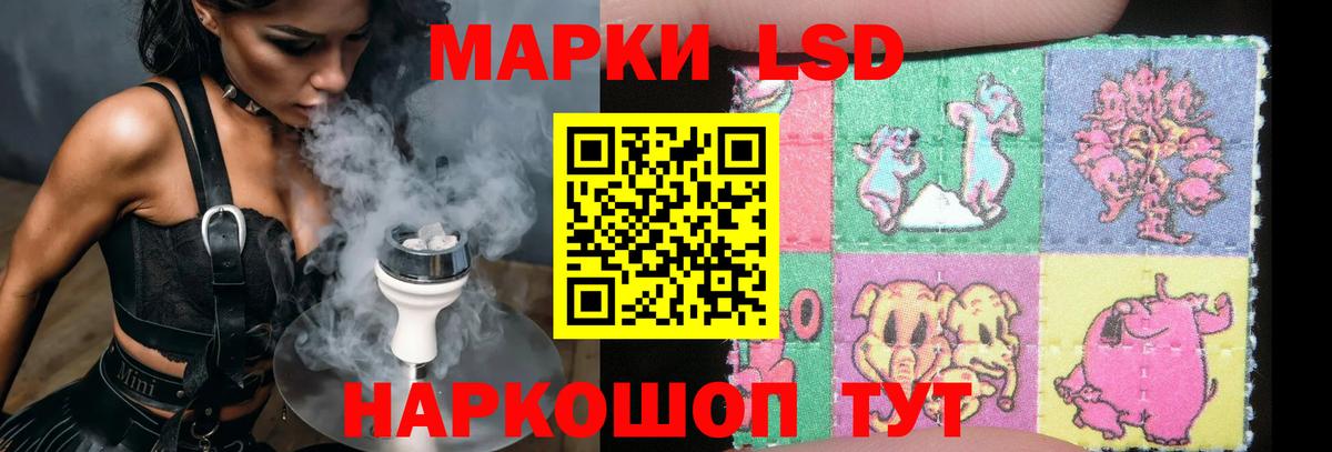 LSD-25 экстази кислота  Лсд 25 экстази кислота  Котлас  Вход с VPN 