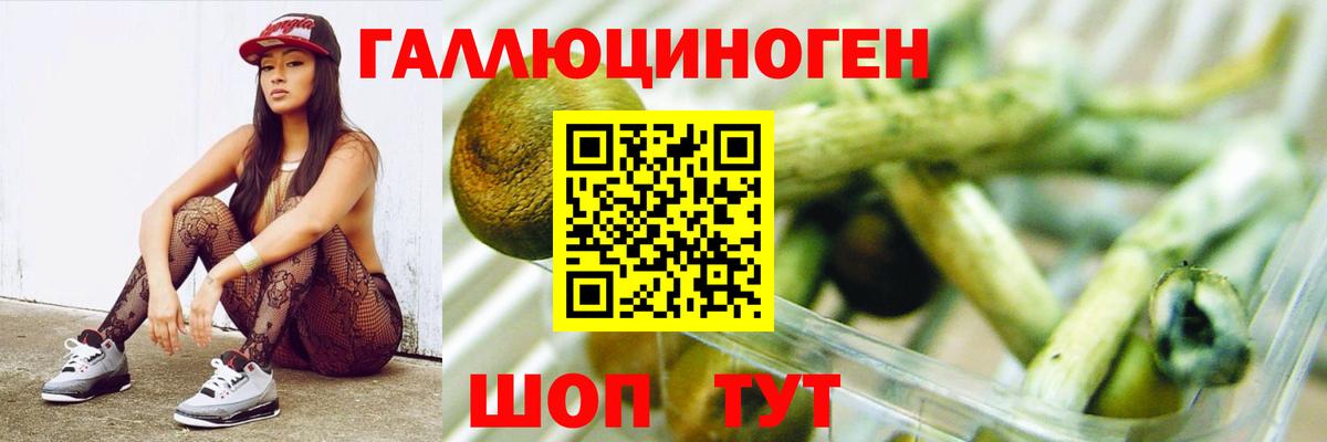 Псилоцибиновые грибы мухоморы Котлас