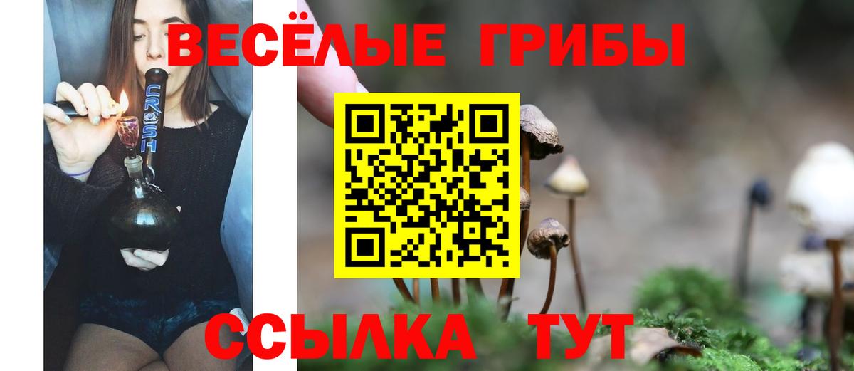 Псилоцибиновые грибы Cubensis  Вход с VPN  Котлас 