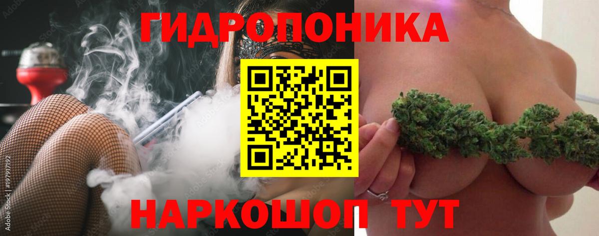 Канабис марихуана  МАРИХУАНА конопля  Котлас  Бошки марихуана конопля  Вход с VPN 